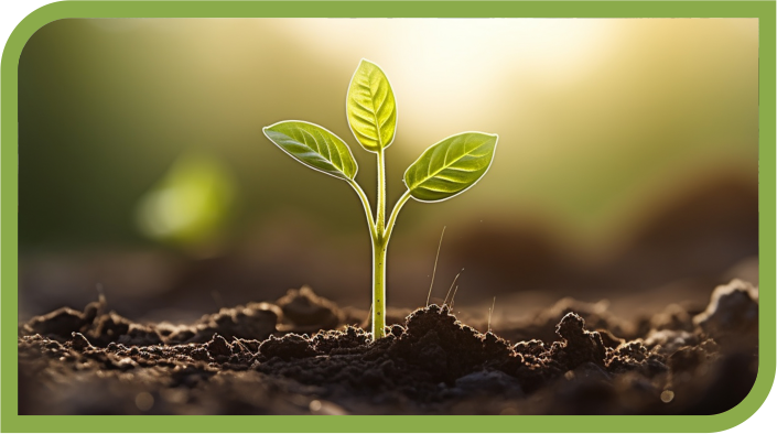 Farturadubo: Nutrição do solo.