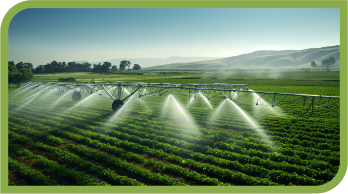 Farturadubo: Irrigação foliar